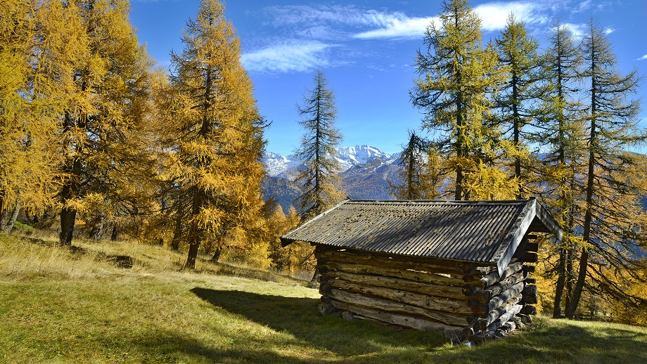 Auszeit satt Bestzeit für Wohlbefinden im Goldenen Herbst in Obernberg, Tirol