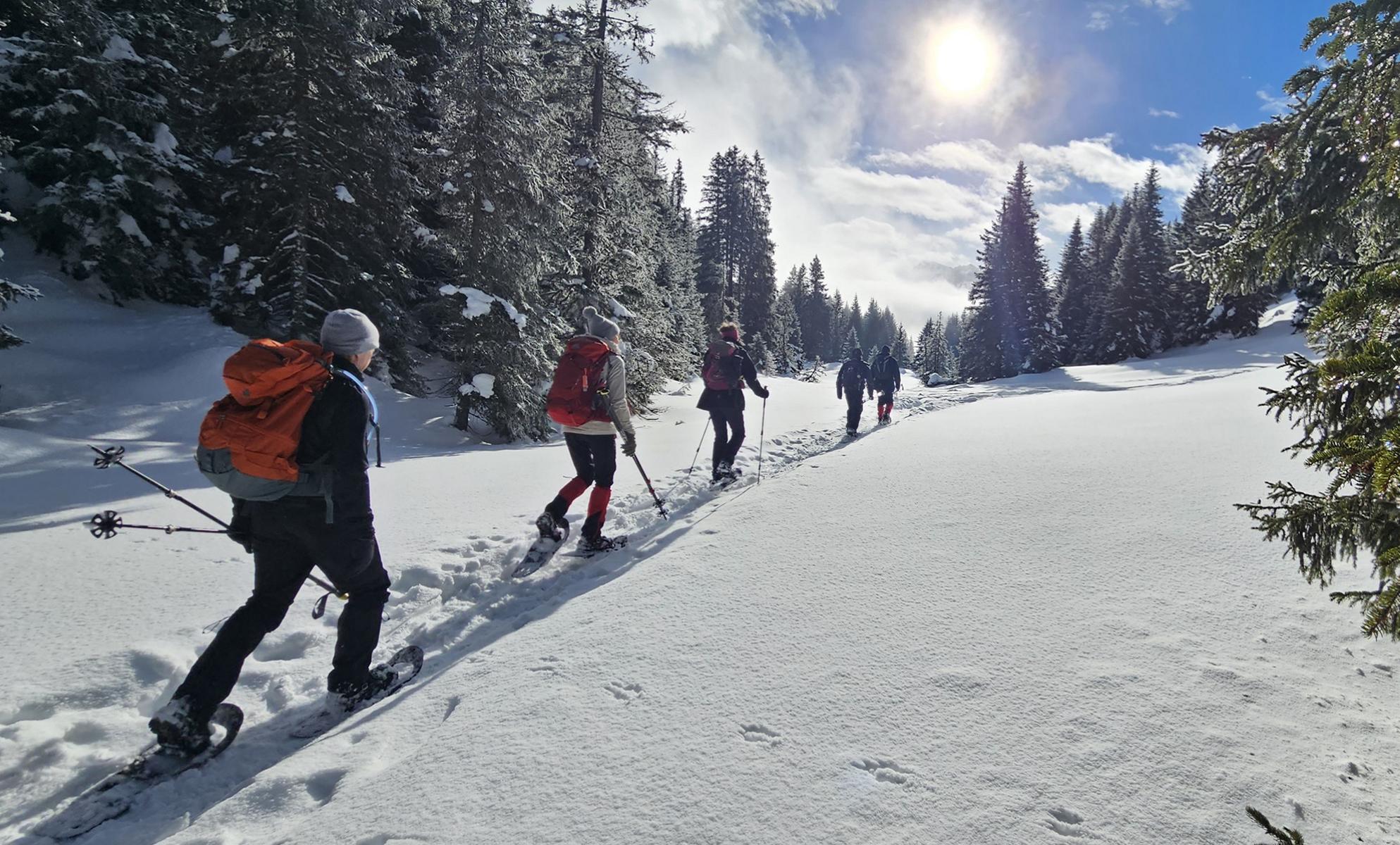 Schneeschuhwandern am Alpenhauptkamm in Tirol. Im stillen Tal Obernberg im Wipptal